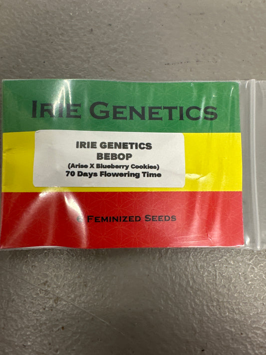 Irie Genetics- Bebop