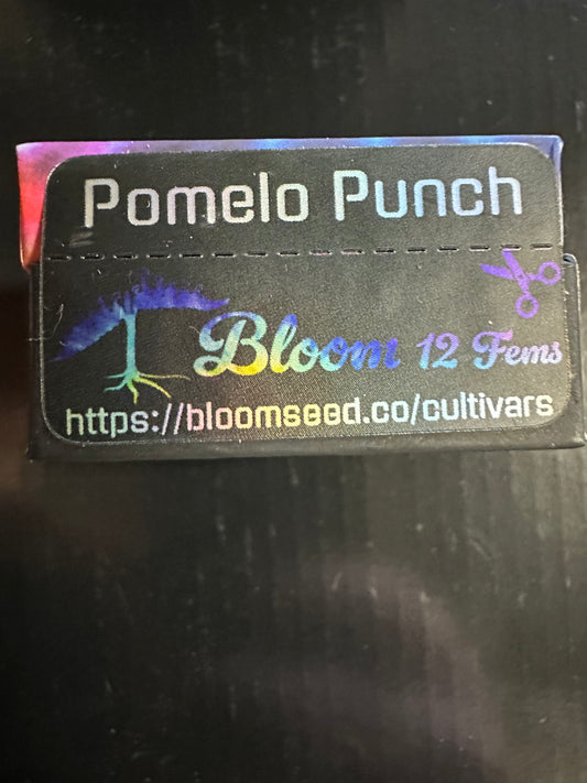 Pomelo Punch