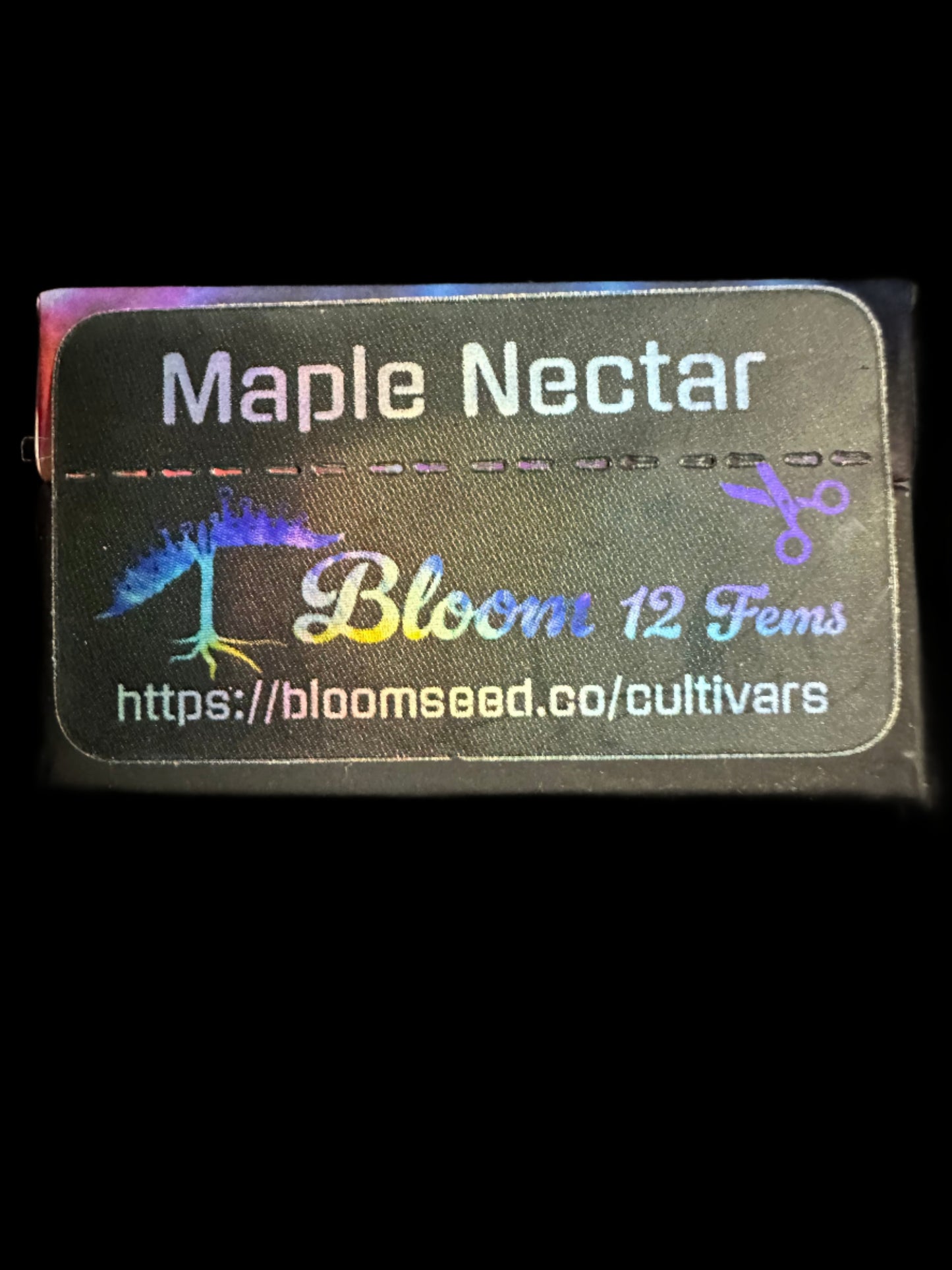 Maple Nectar