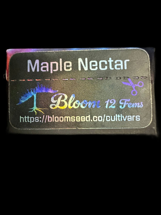 Maple Nectar