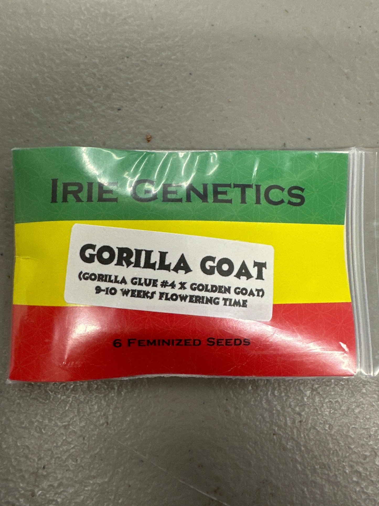 Irie Genetics- Gorilla Goat