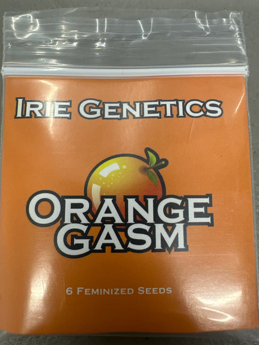 Irie Genetics-Orange Gasm