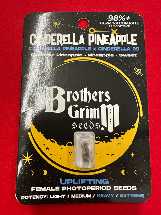 Cinderella Pineapple 15